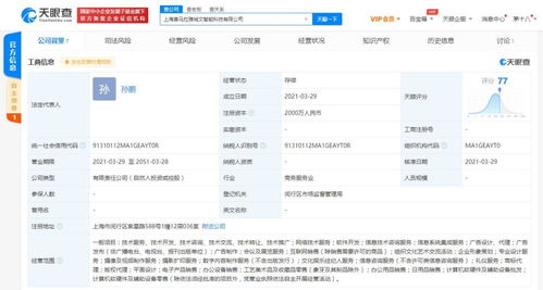 軟件的技術開發(fā)與銷售 創(chuàng)新驅動與市場拓展的雙重路徑