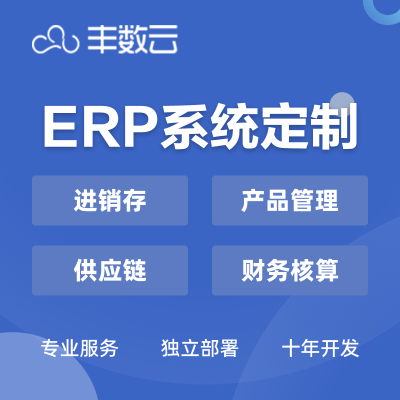 豐數(shù)網(wǎng)絡 引領企業(yè)數(shù)字化變革的互聯(lián)網(wǎng)技術專家與綜合服務供應商