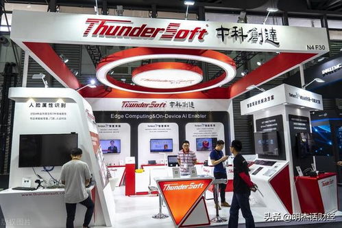 社?；鹬貍}持有標的 軟件技術與銷售領域12家公司深度解析
